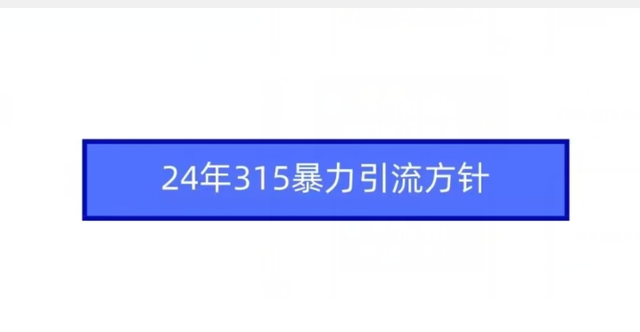 24年315暴力引流方针_微雨项目网