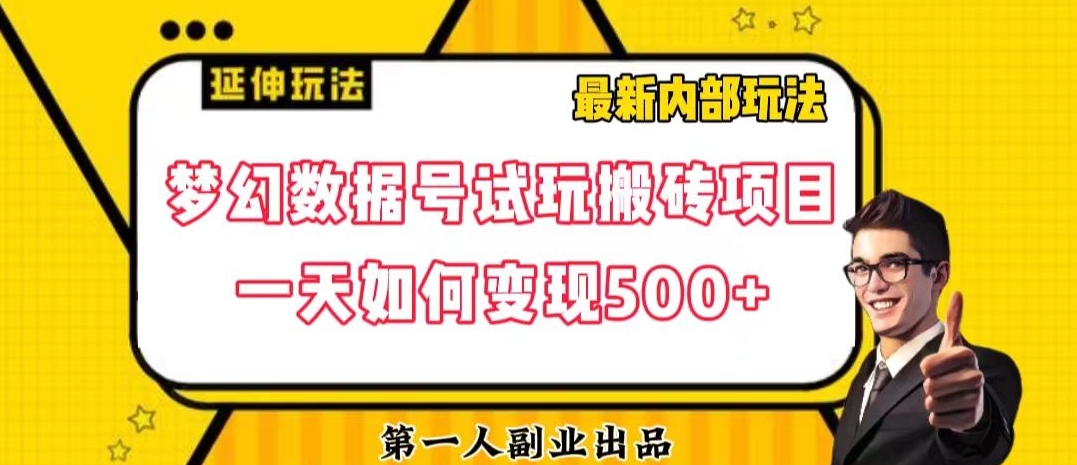 数据号回归玩法游戏试玩搬砖项目再创日入500+【揭秘】_微雨项目网