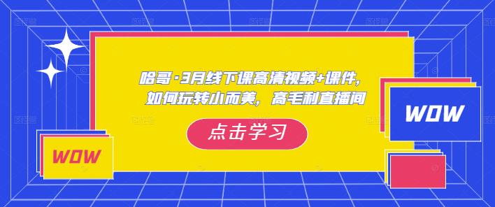 哈哥·3月线下实操课高清视频+课件，如何玩转小而美，高毛利直播间_微雨项目网