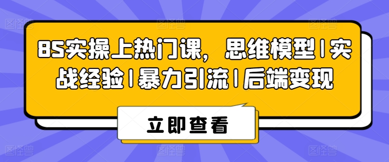 8S实操上热门课，思维模型|实战经验|暴力引流|后端变现_微雨项目网