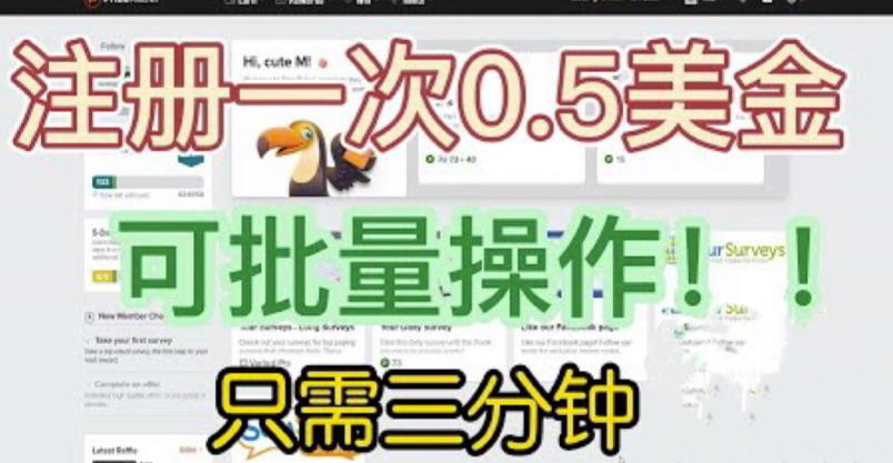 国外项目注册一次0.5美金，只需三分钟无脑操作，可批量同时放大操作，小白工作室福利【揭秘】_微雨项目网