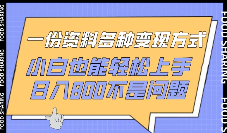 一份资料多种变现方式，小白也能轻松上手，日入800不是问题【揭秘】_微雨项目网