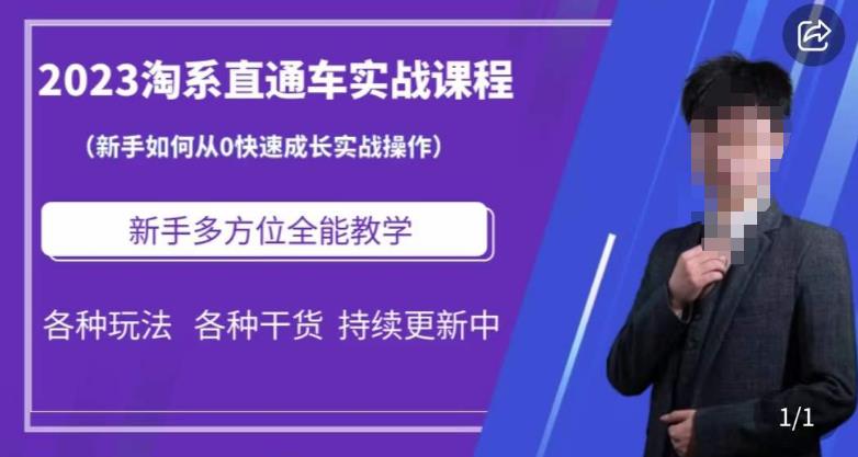 2023淘系直通车保姆式运营讲解，新手如何从0快速成长实战操作，新手多方位全能教学_微雨项目网