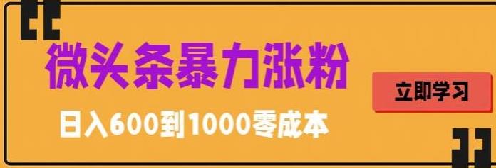 微头条暴力涨粉技巧搬运文案就能涨几万粉丝，简单0成本，日赚600【揭秘】_微雨项目网