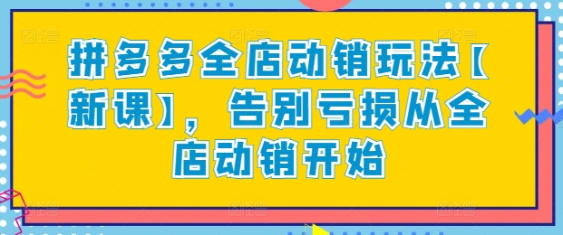 拼多多全店动销玩法【新课】，告别亏损从全店动销开始_微雨项目网