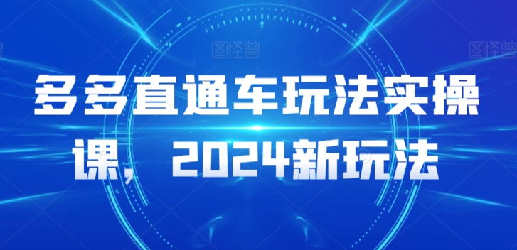 多多直通车玩法实操课，2024新玩法_微雨项目网