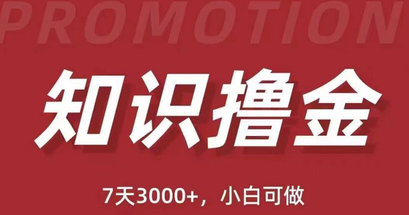 抖音知识撸金项目：简单粗暴日入1000+执行力强当天见收益(教程+资料)_微雨项目网