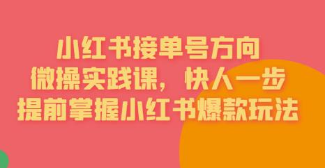 接单号方向·小红书微操实践课，快人一步，提前掌握小红书爆款玩法_微雨项目网