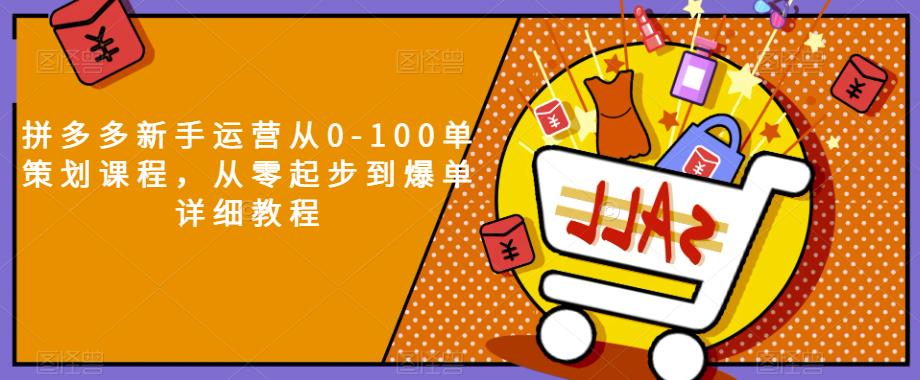 拼多多新手运营从0-100单策划课程，从零起步到爆单详细教程_微雨项目网