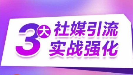 3大社媒引流实战强化，多渠道站外引流，高效精准获客，订单销售额翻倍增长_微雨项目网