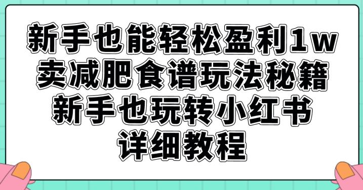 新手也能轻松盈利1w，卖减肥食谱玩法秘籍，新手也玩转小红书详细教程【揭秘】_微雨项目网