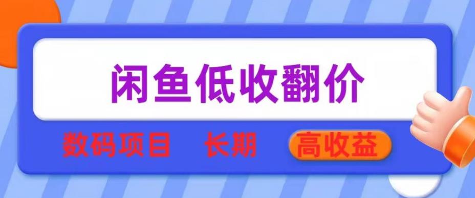 闲鱼低收翻价数码暴利项目，长期高收益【揭秘】_微雨项目网