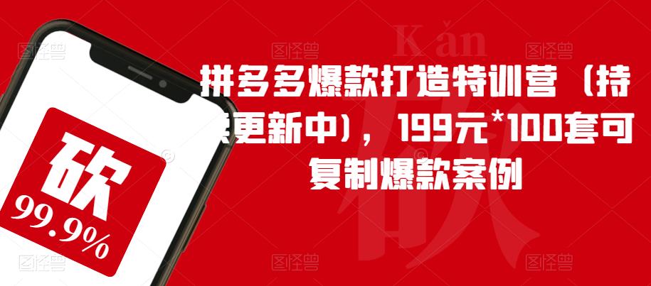 拼多多爆款打造特训营（持续更新中)，199元*100套可复制爆款案例_微雨项目网