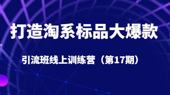 打造淘系标品大爆款引流班线上训练营（第17期）5天直播授课_微雨项目网