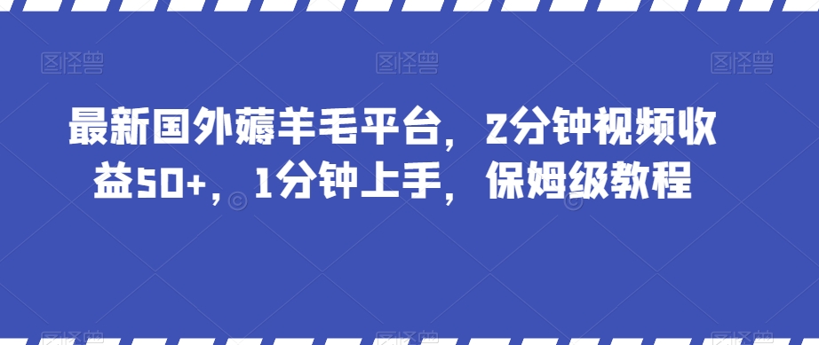 最新国外薅羊毛平台，2分钟视频收益50+，1分钟上手，保姆级教程【揭秘】_微雨项目网