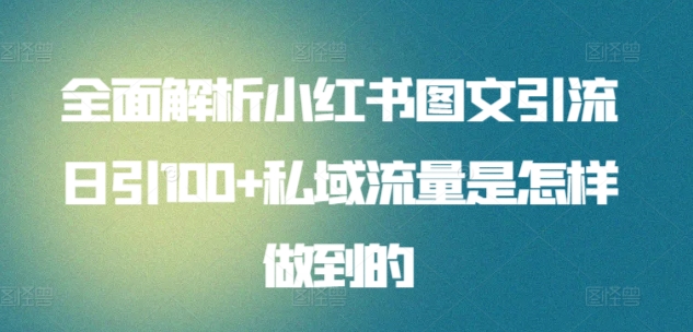 全面解析小红书图文引流日引100+私域流量是怎样做到的【揭秘】_微雨项目网