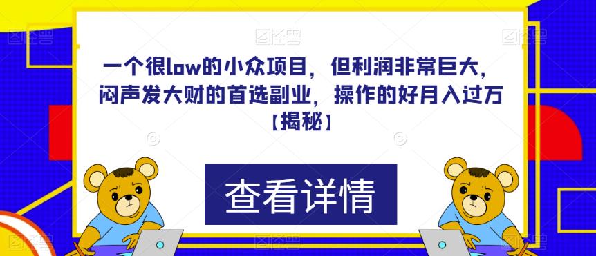 一个很low的小众项目，但利润非常巨大，闷声发大财的首选副业，操作的好月入过万【揭秘】_微雨项目网