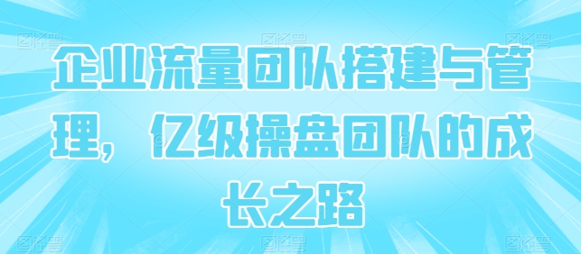 企业流量团队搭建与管理，亿级操盘团队的成长之路_微雨项目网