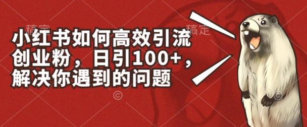 小红书如何高效引流创业粉，日引100+，解决你遇到的问题【揭秘】_微雨项目网