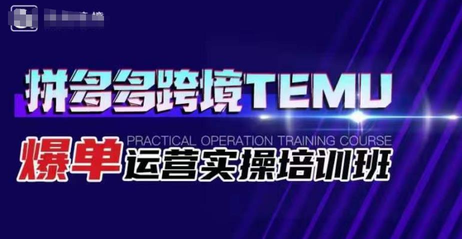 拼多多跨境TEMU爆单运营实操培训班，海外拼多多的选品、运营、爆单_微雨项目网