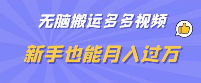 无脑搬运多多视频，新手也能月入过万【揭秘】_微雨项目网