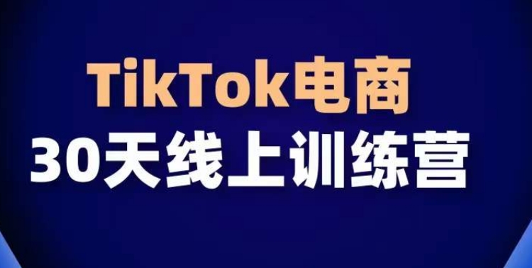 TikTok电商带货30天线上课，不可错过的全球流量洼地！_微雨项目网