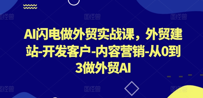 AI闪电做外贸实战课，​外贸建站-开发客户-内容营销-从0到3做外贸AI_微雨项目网