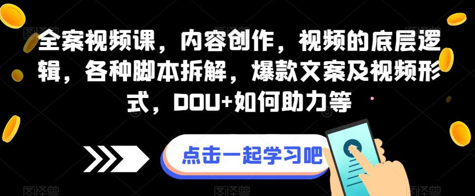 全案视频课，内容创作，视频的底层逻辑，各种脚本拆解，爆款文案及视频形式，DOU+如何助力等_微雨项目网