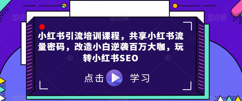 小红书引流培训课程，共享小红书流量密码，改造小白逆袭百万大咖，玩转小红书SEO_微雨项目网