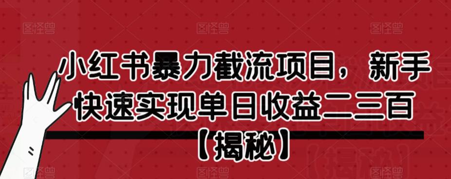 小红书暴力截流项目，新手快速实现单日收益二三百【仅揭秘】_微雨项目网