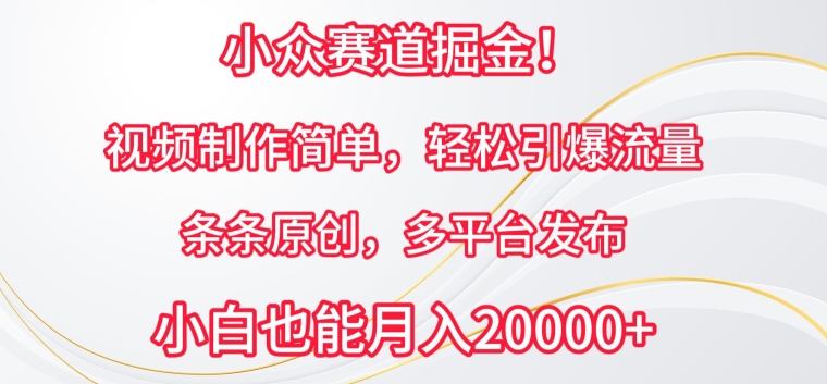 小众赛道掘金，视频制作简单，轻松引爆流量，条条原创，多平台发布【揭秘】_微雨项目网