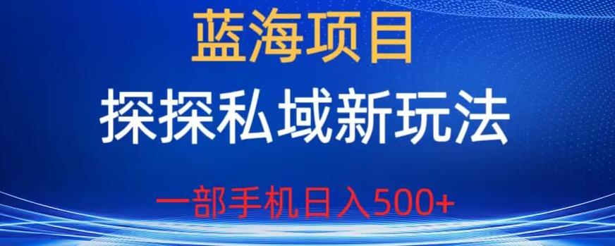 蓝海项目，探探私域新玩法，一部手机日入500+很轻松【揭秘】_微雨项目网