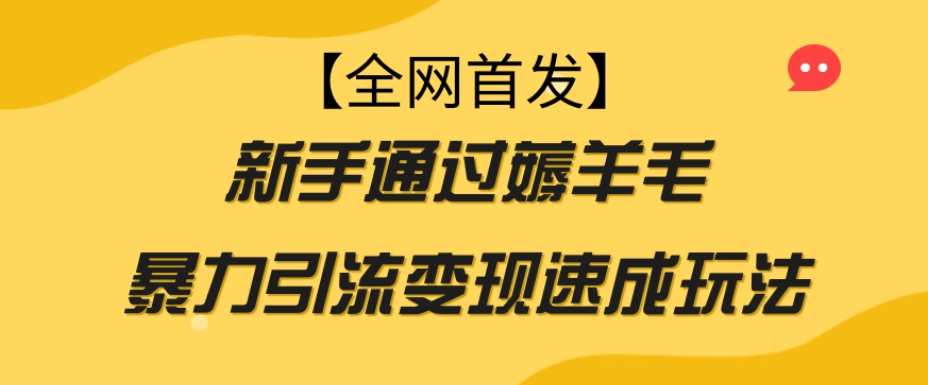 【全网首发】新手通过薅羊毛暴力引流变现速成玩法_微雨项目网