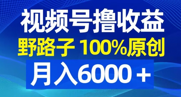 视频号野路子撸收益，100%原创，条条爆款，月入6000＋【揭秘】_微雨项目网