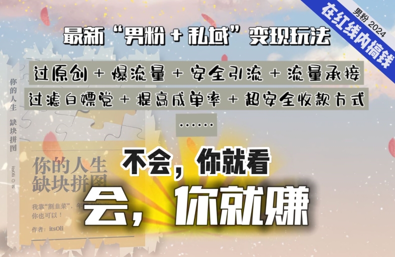 2024，“男粉+私域”还是最耐造、最赚、最轻松、最愉快的变现方式【揭秘】_微雨项目网