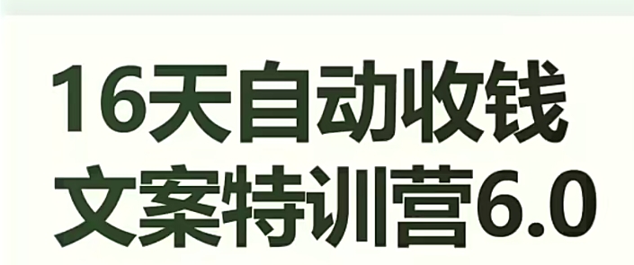 16天自动收钱文案特训营6.0，学会儿每天自动咔咔收钱_微雨项目网