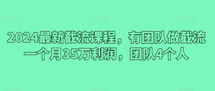 2024最新截流课程，有团队做截流一个月35万利润，团队4个人_微雨项目网