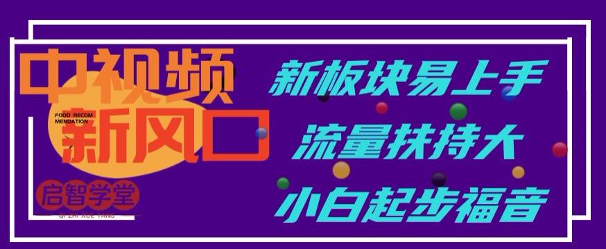 中视频新风口，新板块易上手，流量扶持大，小白起步福音【揭秘】_微雨项目网