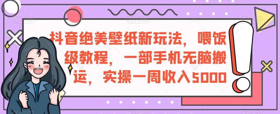 抖音绝美壁纸新玩法，喂饭级教程，一部手机无脑搬运，实操一周收入5000【揭秘】_微雨项目网