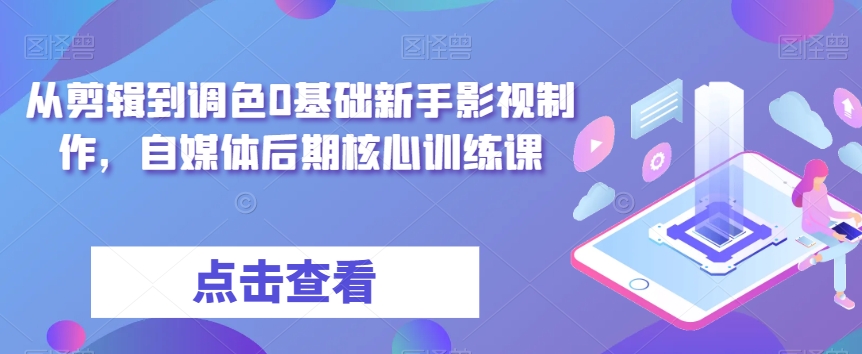 从剪辑到调色0基础新手影视制作，自媒体后期核心训练课_微雨项目网