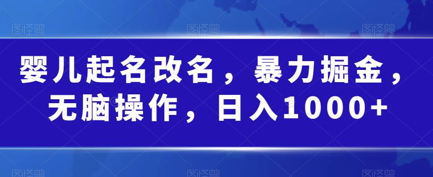 婴儿起名改名，暴力掘金，无脑操作，日入1000+【揭秘】_微雨项目网