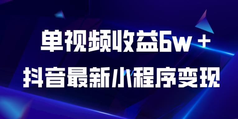 抖音最新小程序变现项目，单视频收益6w＋，小白可做【揭秘】_微雨项目网