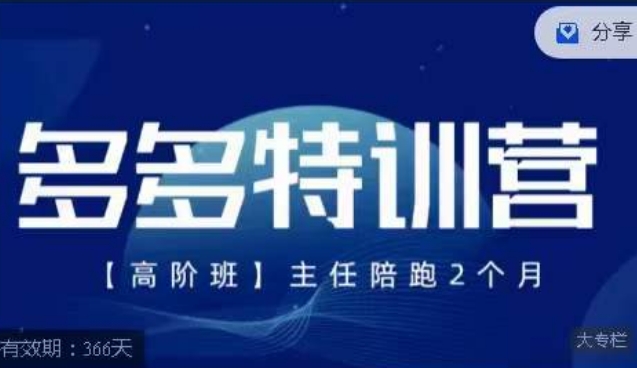 纪主任·多多特训营高阶班【9月13日更新】，拼多多最新玩法技巧落地实操_微雨项目网