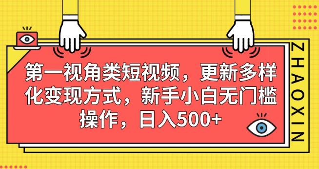 第一视角类短视频，更新多样化变现方式，新手小白无门槛操作，日入500+【揭秘】_微雨项目网