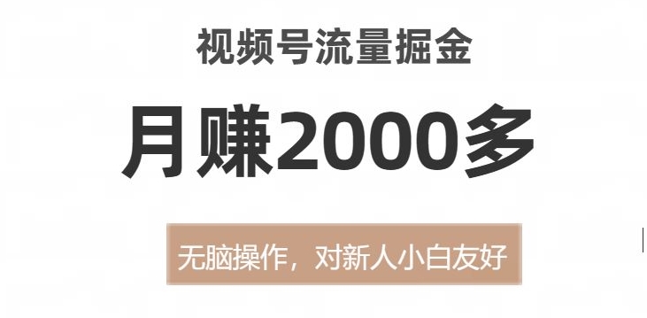 视频号流量掘金，无脑操作，对新人小白友好，月赚2000多【揭秘】_微雨项目网