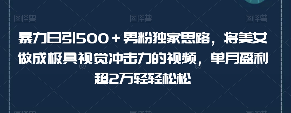 暴力日引500＋男粉独家思路，将美女做成极具视觉冲击力的视频，单月盈利超2万轻轻松松_微雨项目网