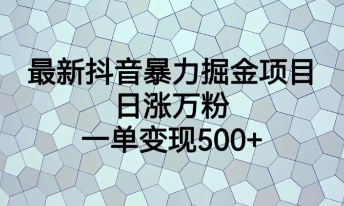 最新抖音暴力掘金项目，日涨万粉，一单变现500+【揭秘】_微雨项目网