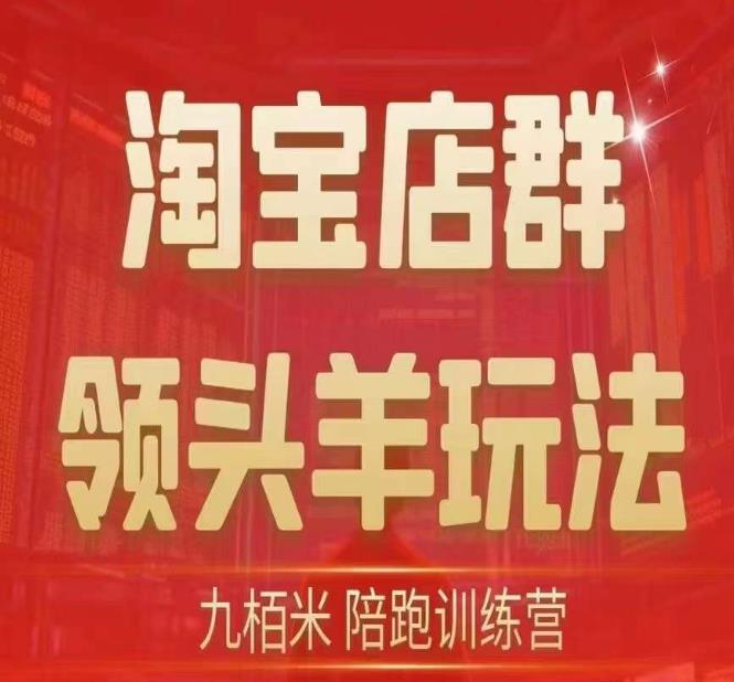 九栢米-淘宝店群领头羊玩法，教你整个淘宝店群领头羊玩法以及精细化/终极蓝海/尾销等内容_微雨项目网