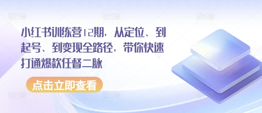 小红书训练营12期，从定位、到起号、到变现全路径，带你快速打通爆款任督二脉_微雨项目网