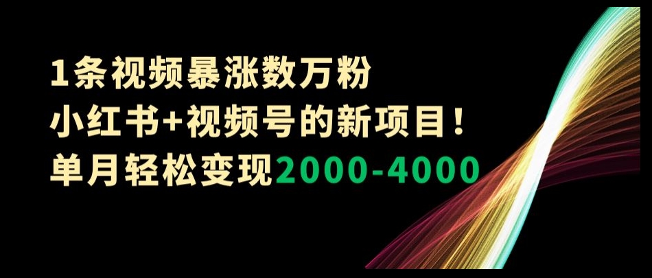 1条视频暴涨数万粉–小红书+视频号的新项目！单月轻松变现2000-4000【揭秘】_微雨项目网